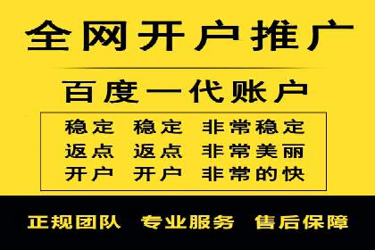 百度竞价推广案例：行业领军者成长故事